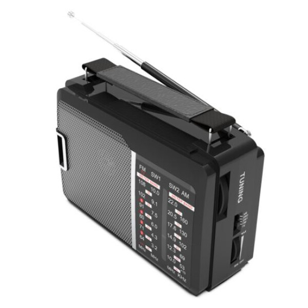 Радиоприемник Ritmix RPR- 190 - фото