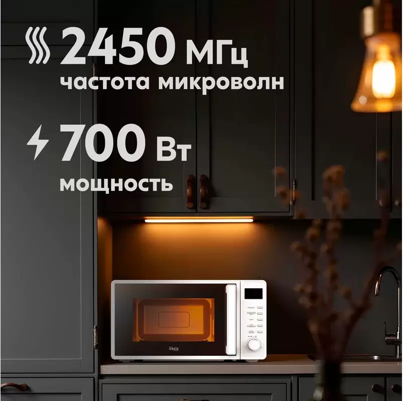 366 Микроволновая печь making Oasis everywhere MW-70SW фото-4